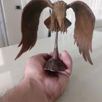 مجسمه عقاب|مجسمه، تندیس، ماکت|تهران, انبار نفت|دیوار