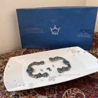 دیس پذیرایی