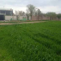 فروش زمین در شهر آبیک روستای دبیریان