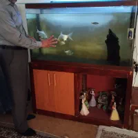 آکواریوم شیشه ای
