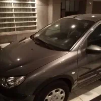 ۲۰۶ تیپ ۲ بی رنگ