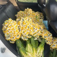 گل نرگس درجه یک شیراز