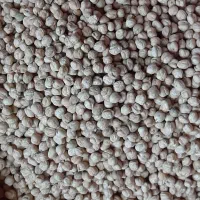 نخود سفید لب لبی درجه یک