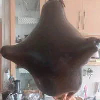 روغن حیوانی ناب