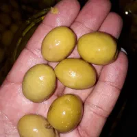 زیتون|خوردنی و آشامیدنی|تهران, بوستان ولایت|دیوار
