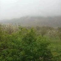 زمین ویلایی بسیارزیباجاده روستای سعیدابادوایرانق