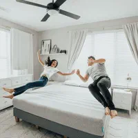 پخش تشک رویال/عمده و خرده/ضمانتی