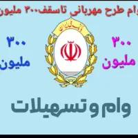 وام فوری،۱۲و۱۸ماهه،باکمترین کارمزد|خدمات مالی، حسابداری، بیمه|پارس‌آباد, |دیوار