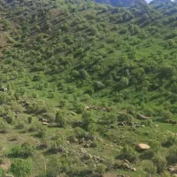 زمین