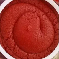 رب خانگی