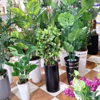 درختچه وگل نقدوقسطی|گل مصنوعی|کوهدشت, |دیوار