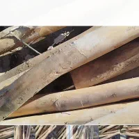 چوب سقفی|مصالح و تجهیزات ساختمان|کرفتو, |دیوار