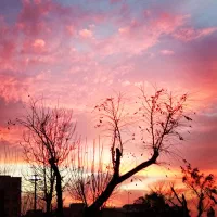 خدمات باغبانی وسرایداری