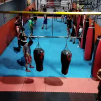 آموزش بوکس وکیک بوکسینگ و موی تای