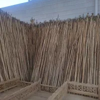 چوب داربند انگور وداربست وچوبفروشی|عمده‌فروشی|یزد, |دیوار