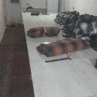 لوازم تولیدی پوشاک|چرخ خیاطی و ریسندگی|شاهرود, |دیوار