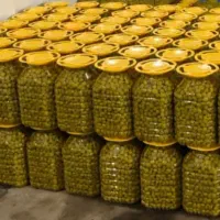 پخش عمده زیتون