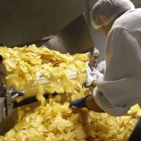 کار در خط تولید چیپس