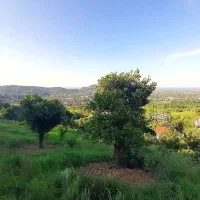 فروش-385-متر-زمین-مسکونی-کوهپایه-دالخانی