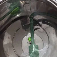 سبزی خردکن درحدنو|خردکن، آسیاب، غذاساز|مشهد, طبرسی شمالی|دیوار