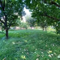 500-متر-ویلای-جنگلی-amp-nbsp-پر-از-درخت-میوه
