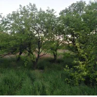 استخدام زوج سرایدارجهت باغ وویلاهمراه بااسکان