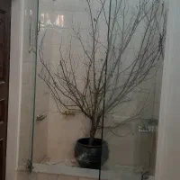 تعمیرو نصب کرکره برقی|خدمات پیشه و مهارت|تبریز, |دیوار