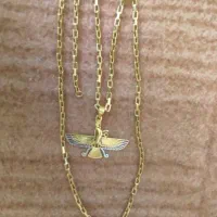 سرویس 11/33 مدال زنجیر9/74 درصد1/5 بالای تابلو