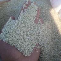 انواع نیم دانه