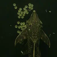 پلکو کت لیزارد فاروولا مولد