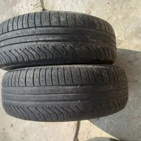لاستیکپژویی