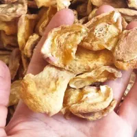 لواشک و میوه خشک ارگانیک و بادام درختی|خوردنی و آشامیدنی|اهواز, بهارستان|دیوار