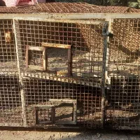 قفس کبوتر . دارای جرخ جهت جابه جایی