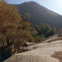 سویت ویلا جنگلی