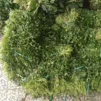 فروش سبزیجات کری و کیلویی به قیمت کف بازار|خوردنی و آشامیدنی|گتاب, |دیوار