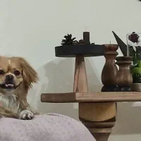 کنسول|بوفه، ویترین، کنسول|تهران, آشتیانی|دیوار