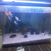 آکواریوم شیشه خم خارجی