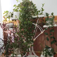 استند گلدان فلزی|صنایع دستی و سایر لوازم تزئینی|دره شهر, |دیوار