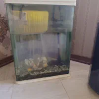 اکواریوم شیشه خم|ماهی|مشهد, کارمندان دوم|دیوار