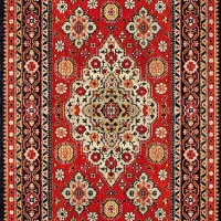 ۲ تا فرش برای شستن