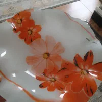 سینی شیشه ای و اکرپال|سرویس روتختی|لاهیجان, لیالستان|دیوار