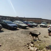 اس توک اردی پیکان سالم تست شده