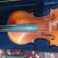 ویالون پونیکس|ویولن|بومهن, |دیوار