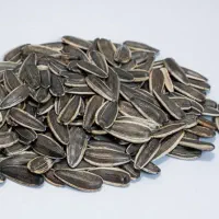 فروش دو تن تخمه درجه یک اس5