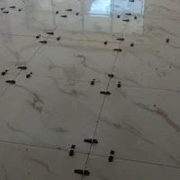 کار سرامیک کار کاشی کار سنگ موزاییک سیمان زنی|خدمات پیشه و مهارت|اصفهان, کوی امیریه|دیوار