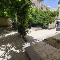 کلنگی ۳۵۲متری با پروانه ۳ روی پیلوت ۲۲ بهمن