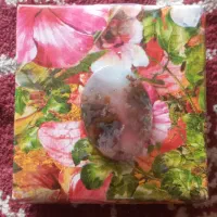 سنگ شجره   شجره کوه‌های سراوان|جواهرات|سبزوار, امام خمینی (ناوی)|دیوار