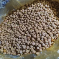 نخود سفید تمیز