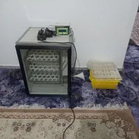 دستگاه جوجه کشی ۱۲۶تایی