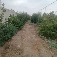 باغ۱۵۰۰متر جاده شیرین عسل|فروش خانه و ویلا|شبستر, |دیوار